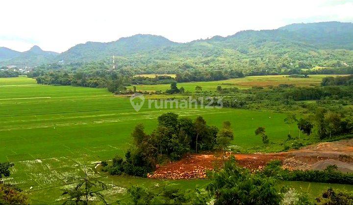 Di jual murah tanah view sawah, strategis dan negosible 2