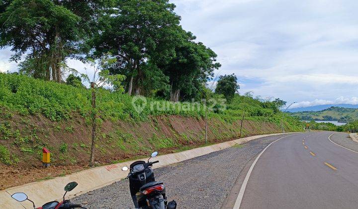 TANAH STRATEGIS DEPAN JALANKEK TANA MORI 2