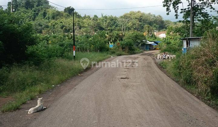 Di jual tanah murah dan strategis view alam depan jalan utama  2