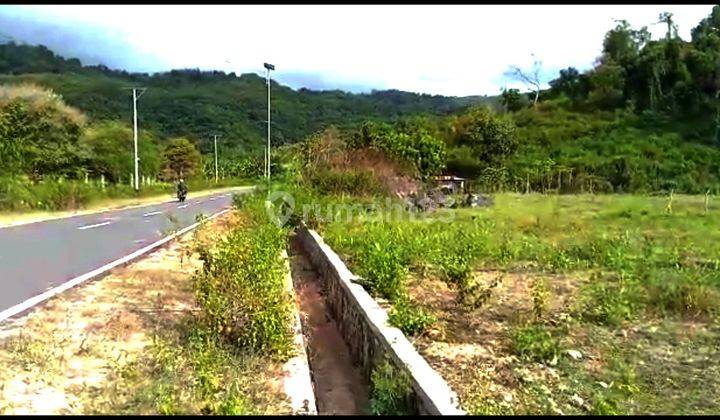 Di jual tanah  murah depan jalan pantura labuan bajo 1