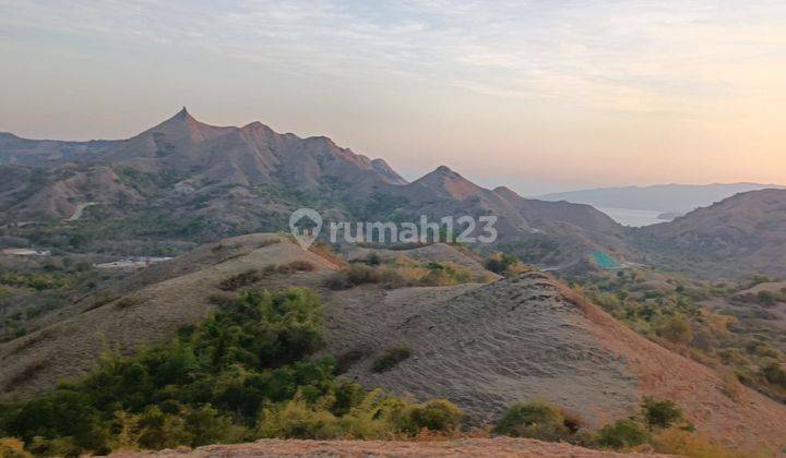 Tanah view laut dan sunset golomori labuna bajo 2