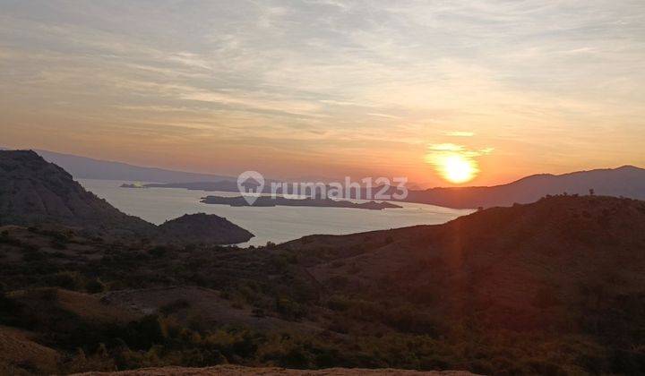 Tanah view laut dan sunset golomori labuna bajo 1