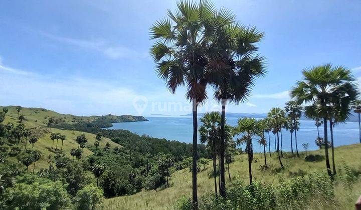 Di jual Tanah view laut strategis dan Nego wae cicu labuan bajo 1