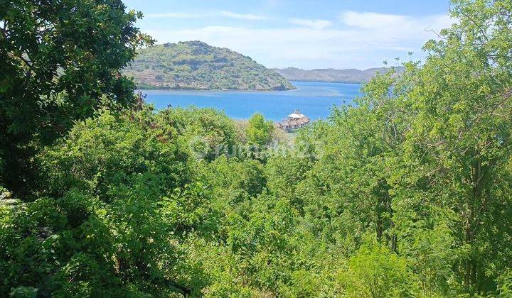 Di Jual Tanah  Untuk View Laut Tengah Kota Labuan Bajo 2