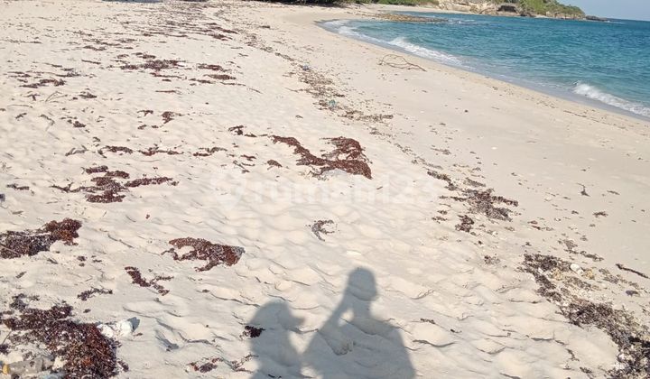 Di Jual Tanah Strategis Pantai di Pulau Mules Labuan Bajo Di Jual Tanah Strategis Pantai di Pulau Mules Labuan Bajo