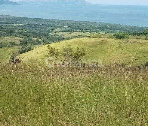 Di jual tanah investasi  benteng dewa di labuan bajo 1