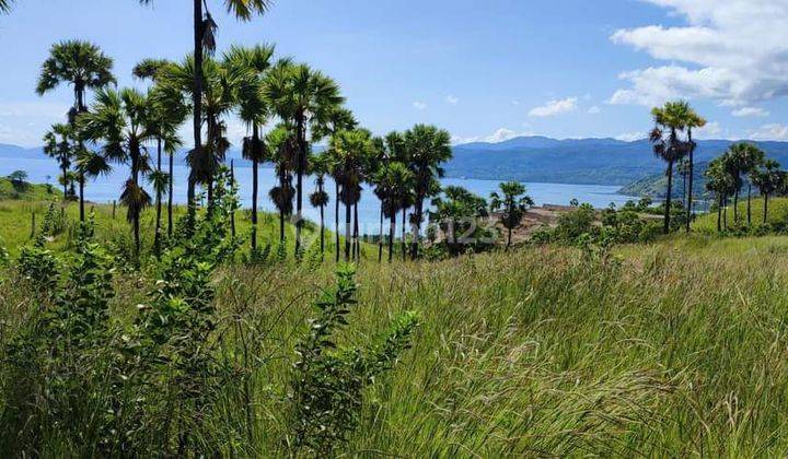 Di jual tanah view terbagus di jalan premium labuan bajo 2