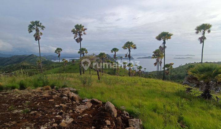 Di jual tanah view abadi wae cucu labuan bajo 1