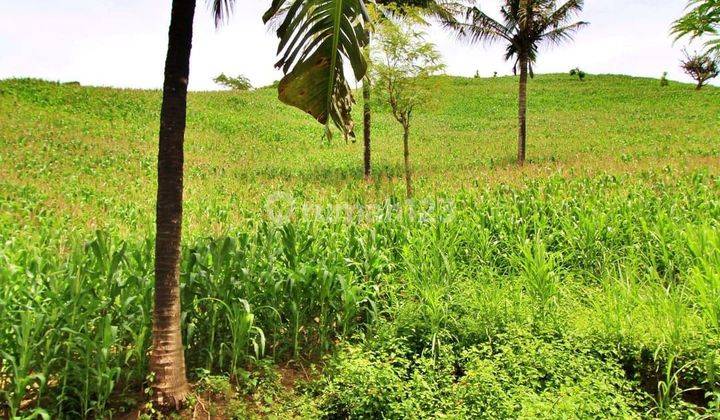 Di jual tanah view sirkuit mandalika lombok tengah 2