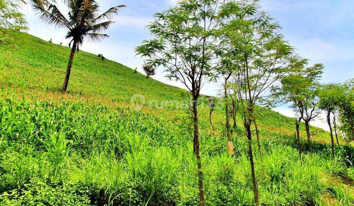 Di jual tanah view sirkuit mandalika lombok tengah 1