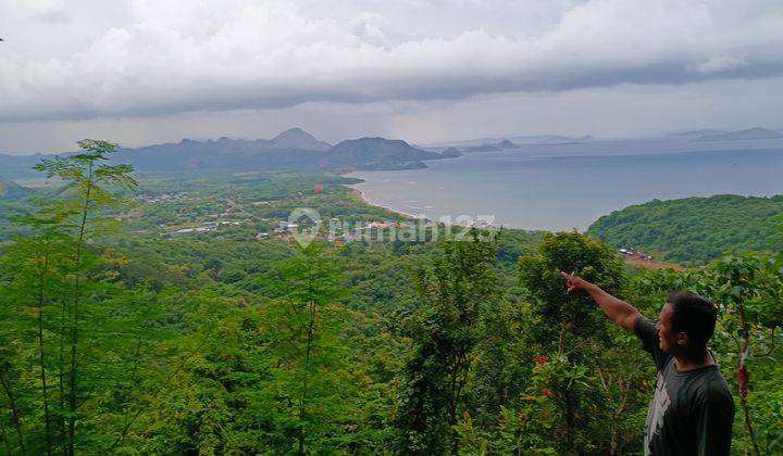 Tanah view abadi dan strategis si tengah kota labuan bajo 1