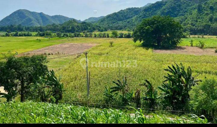 Di jual tanah  untuk villa di selong belanak lombok tengah 1