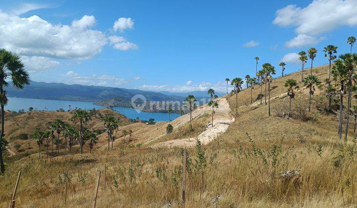 Di jual tanah view laut dapat sunset dan sunrise labuan bajo 2