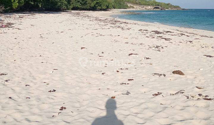 Di Jual Tanah Pantai Pasir Putih Pulau Mules Mangarai Labuan Bajo 2