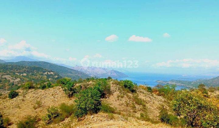 Di Jual Tanah  View Laut Negosible Di Warloka Labuan Bajo 1