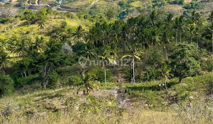 Di jual tanah view full strategis di torok lombok tengah 2