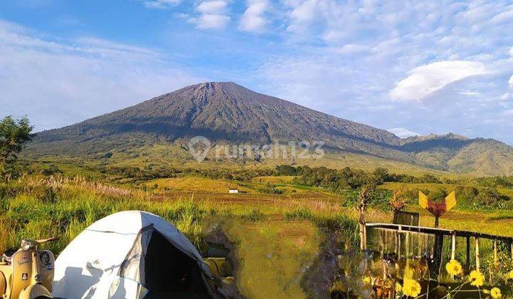 Di Jual Tanah View Gunung Rinjani Dan Sawah Sembalun Lombok 1