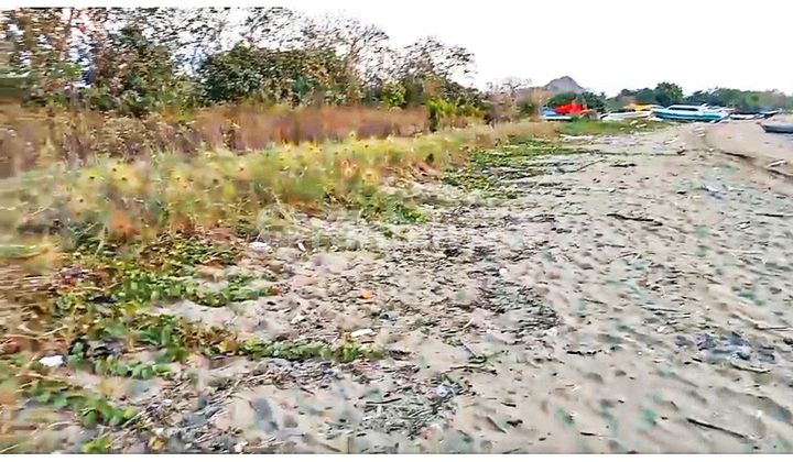 Di Jual Tanah Strategis Untuk Hotel Langsung Pantai Labuanbajo Di Jual Tanah Strategis Untuk Hotel Langsung Pantai Labuanbajo