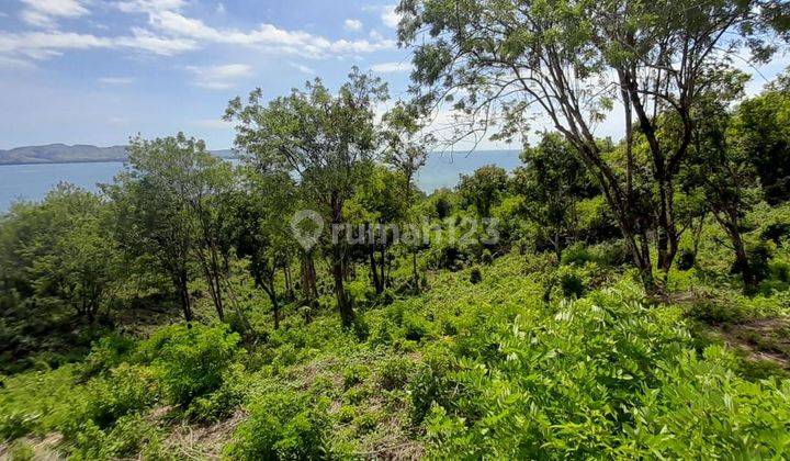 Di Jual Tanah Langsung Pantai Dekat Kota Labuan Bajo 1