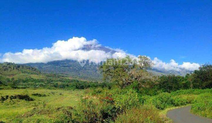 Di Jual Tanah Villa View Gunung Rinjani  Sembalun Lombok 2