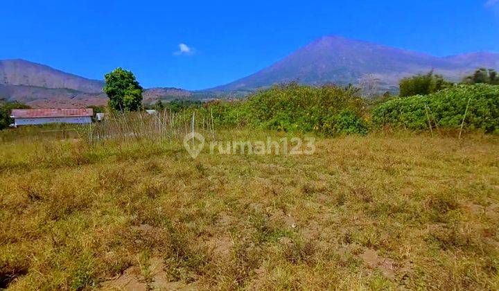 Di Jual Tanah View gunung Rinjani  Sembalun Karya Lombok 2