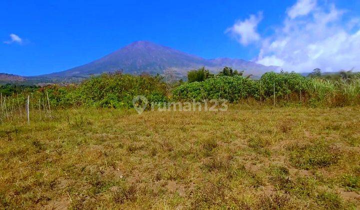 Di Jual Tanah View gunung Rinjani  Sembalun Karya Lombok 1