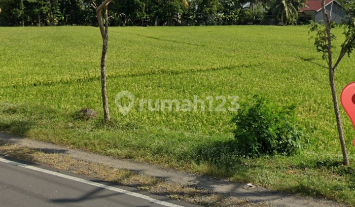 Di Jual Tanah Depan Jalan Bay Pass Lombok Tengah