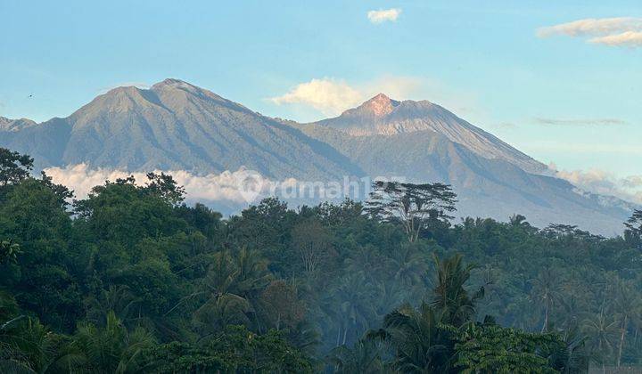 Di Jual Tanah Untuk Villa Dan Cottage Batukliang Lombok Tengah 2