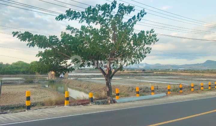 Land for sale cheap in Labuan Bajo, in front of the Golo Mori Special Economic Zone road.