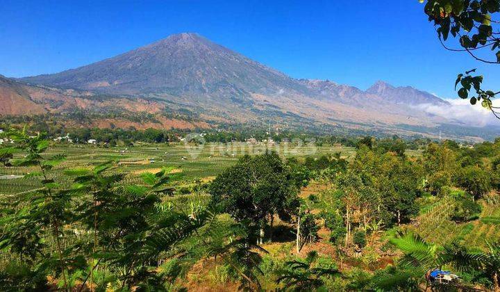 Di Jual Tanah Bukit View Terindah Sembalun Lombok 1