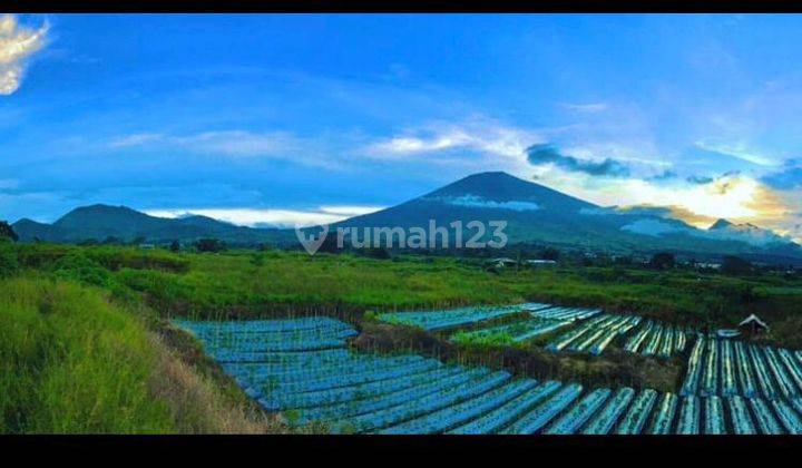 Di Jual Tanah Villa View Gunung Rinjani  Sembalun Lombok 1