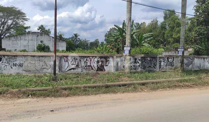 Dijual Kavling Tanah Jagung Gunung Sugih Besar Lampung Tengah 2