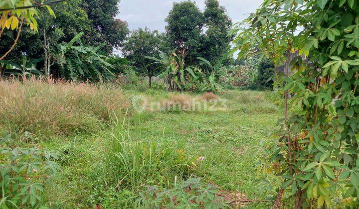Tanah Murah Pondok Cabe 450 m² Dekat Lapangan Terbang SHM 4