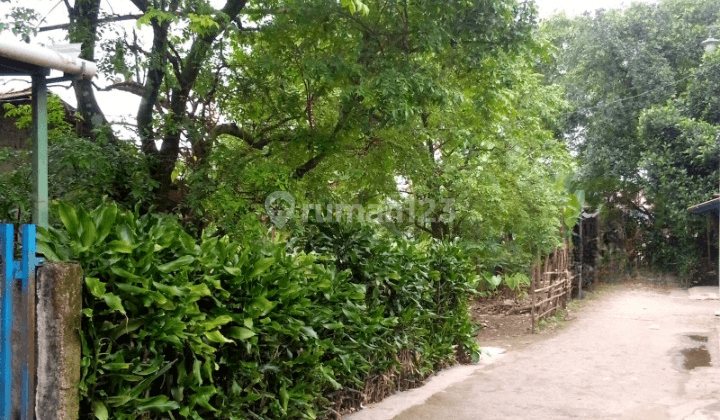 Dijual Tanah Murah Area Pasir Putih Sawangan Hanya 2jutaan SHM