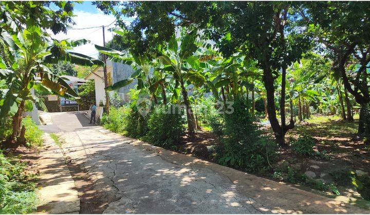 Dijual Tanah Kost Beji 1 Km Ke Kampus Ui Row Jalan 6 Meter  3