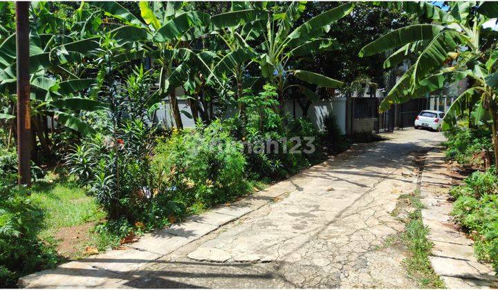 Dijual Tanah Kost Beji 1 Km Ke Kampus Ui Row Jalan 6 Meter  7