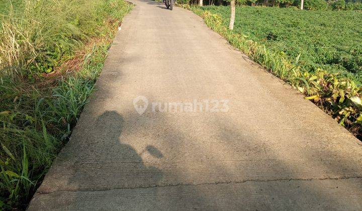 Jual Tanah Kawasan Bogor Siap Bangun SHM Aman 2