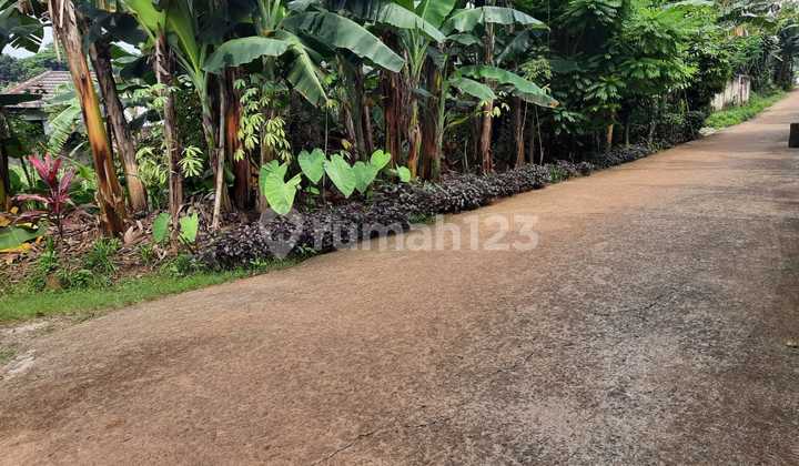 Kaveling Tanah Beji Depok Dekat Dengan Kampus Ui 4