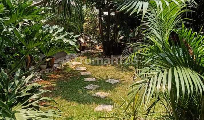 Jual Cepat Rumah Luas dan Asri di Puri Bintaro Sektor 9 2