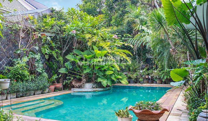 Rumah Mewah Ada Pool Dan Taman Luas di Jagakarsa Jaksel 1