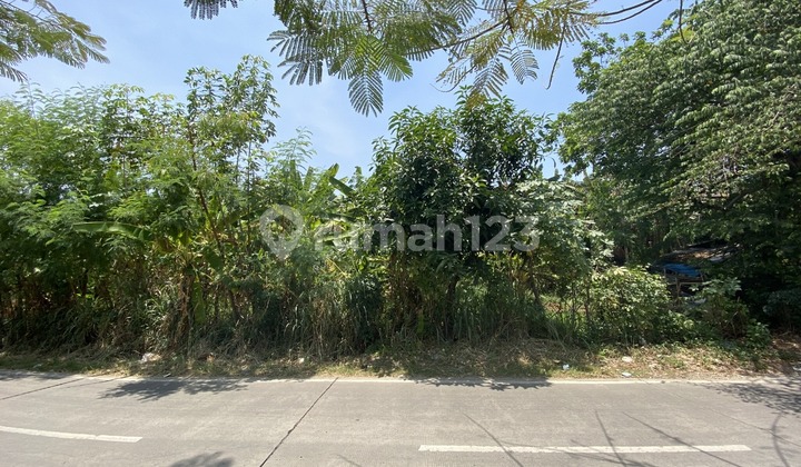 Tanah Lokasi Strategis Depan Jalan Bukit Nusa Indah Serua Tanah Lokasi Strategis Depan Jalan Bukit Nusa Indah Serua