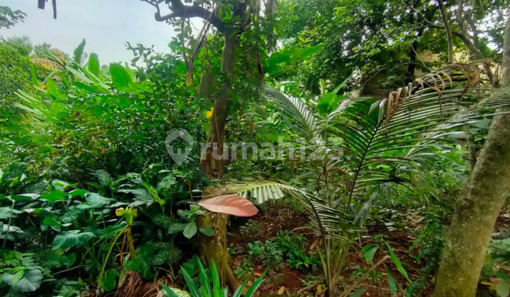 Affordable Ready-to-Build Lots Suitable for Housing @Limo Cinere.