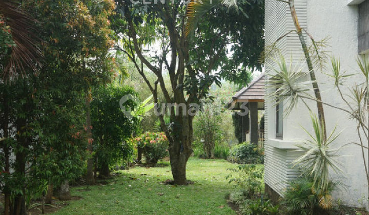 Rumah Lux Model Mezanin Sirkulasi Yg Baik di Dago Pakar 2