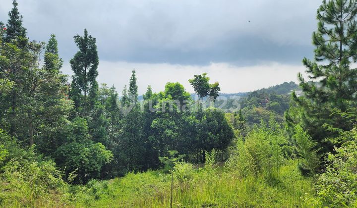 SHM Ready-to-Build Land in Dago Wing, Bandung