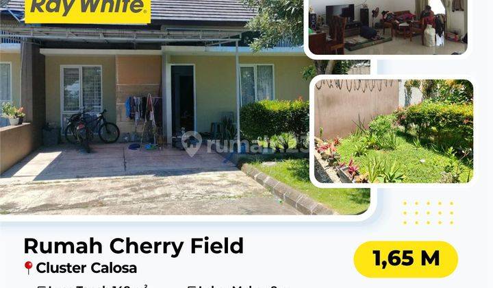 Rumah 1 Lantai Dgn Halaman Yg Leluasa Di Cherryfield 1