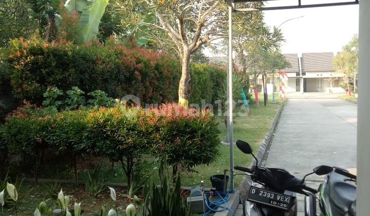Rumah 1 Lantai Dgn Halaman Yg Leluasa Di Cherryfield 2