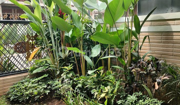 Rumah Cantik 1 1/4 LT Cluster Favorit di Batununggal