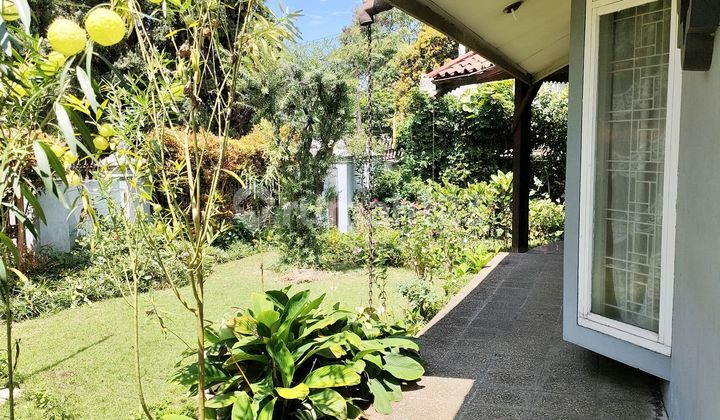 Harga Di Bawah Njop Rumah Terawat Tempo Doeloe Dgn Ditata Rapi Di Trs Sutami Bandung