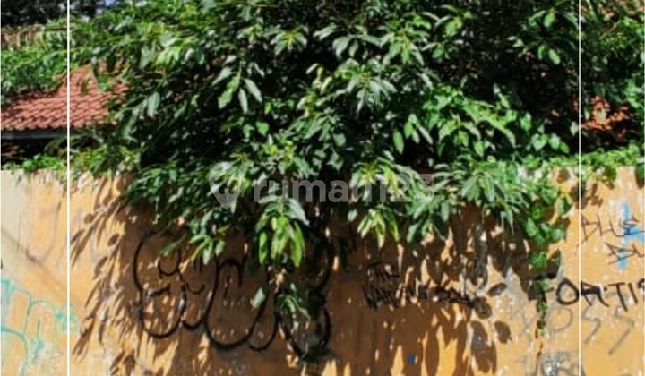 Jual Hitung Tanah Lt 248 Daerah Bkr Pasirluyu Pasirsalam Jual Hitung Tanah Lt 248 Daerah Bkr Pasirluyu Pasirsalam