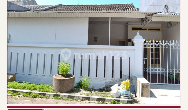 DISEWAKAN RUMAH SIAP HUNI RUNGKUT PANDUGO RUMAH BAGUS  1